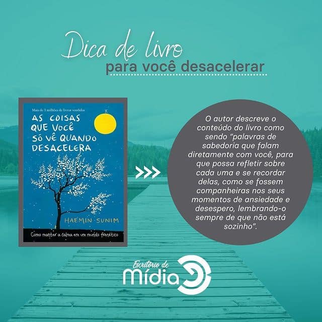 Dica Do Livro Para Voc Desacelerar Escrit Rio De M Dia Pe